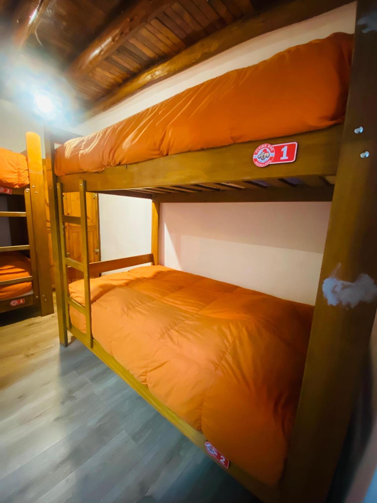 Flying Dog Hostel Cusco Exterior photo